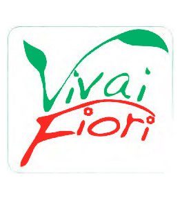 viviai-fiori.jpg